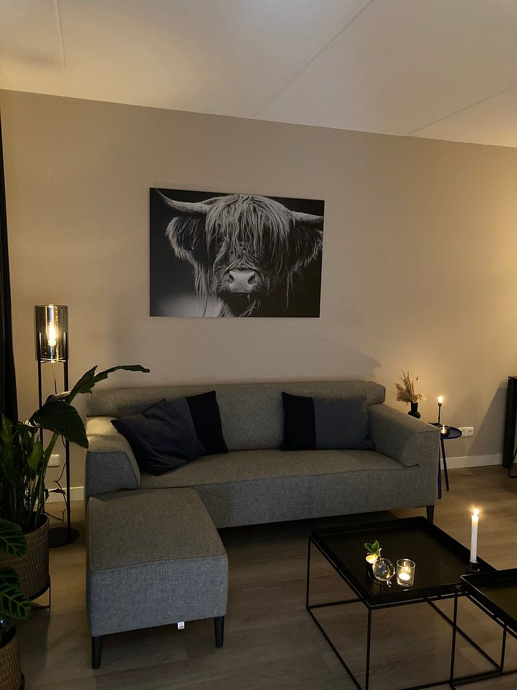 schottischer Highlander von Mark van der Walle