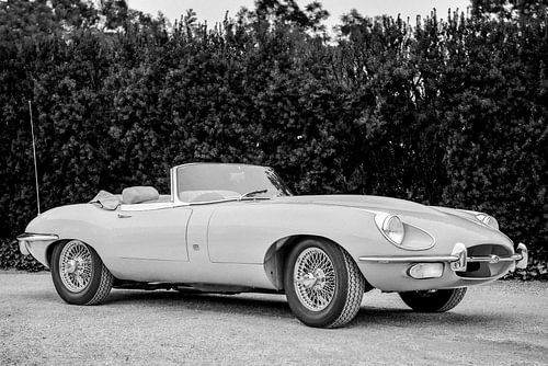 Jaguar E-Type Roadster classic British sports car by Sjoerd van der Wal Photography