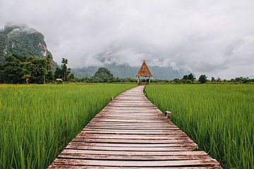 Houten vlonderpad tussen de rijstvelden in Vang Vieng | Laos | Reisfoto van Expeditie Aardbol