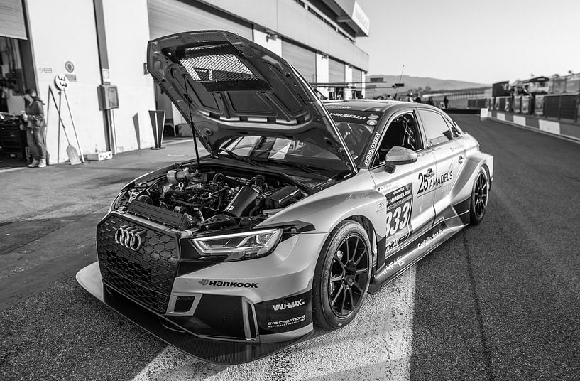 Audi RS3-Rennwagen von Bart Mozer