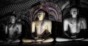 Drie boeddha's in lotushouding