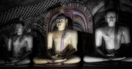 Drie boeddha's in lotushouding