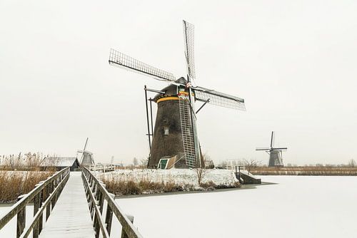 Besneeuwd Kinderdijk