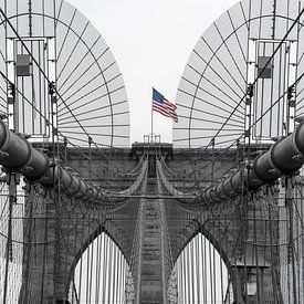Brooklyn Bridge van Lisa Stelzel