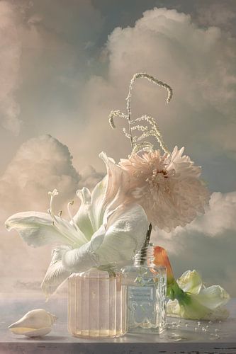 Nature morte "Entre ciel et terre IX