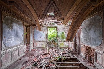 Lost Place - verlaten ruimtes - wanneer de natuur zijn intrede doet van Gentleman of Decay