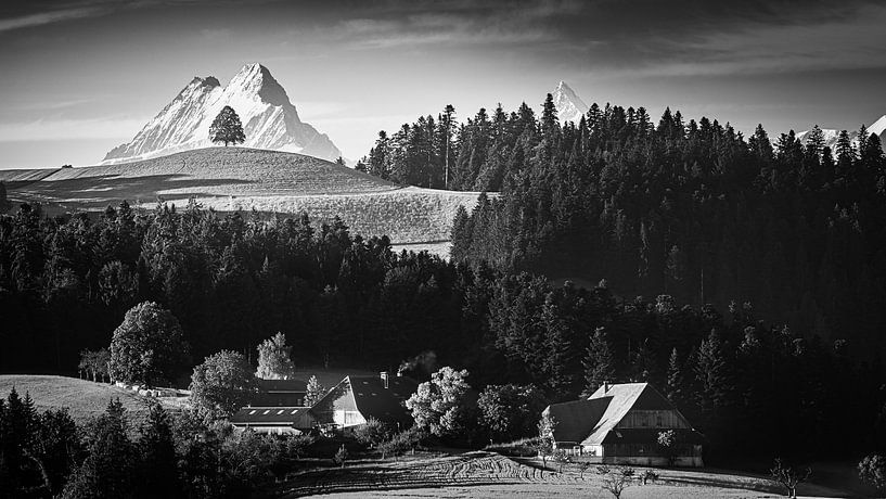 Emmentaler in Schwarz und Weiß, Schweiz von Henk Meijer Photography