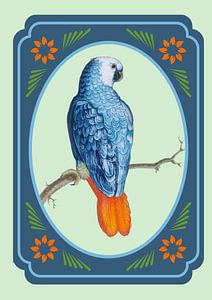 Parrot in vintage frame