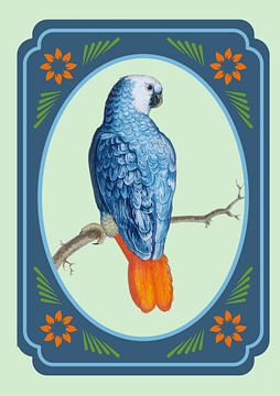 Parrot in vintage frame by Postergirls