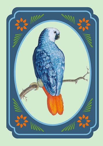 Papegaai in vintage lijst
