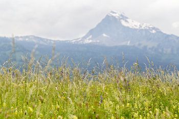 Irgendwo in den Alpen