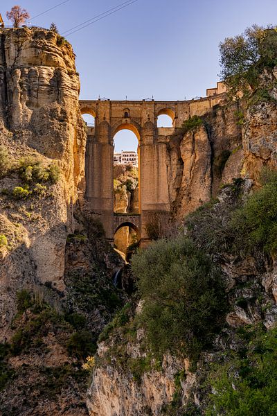 Die Brücke &#039;Puente Nuevo&#039; in Ronda, Spanien von Dafne Vos