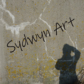 SydWyn Art Profilfoto