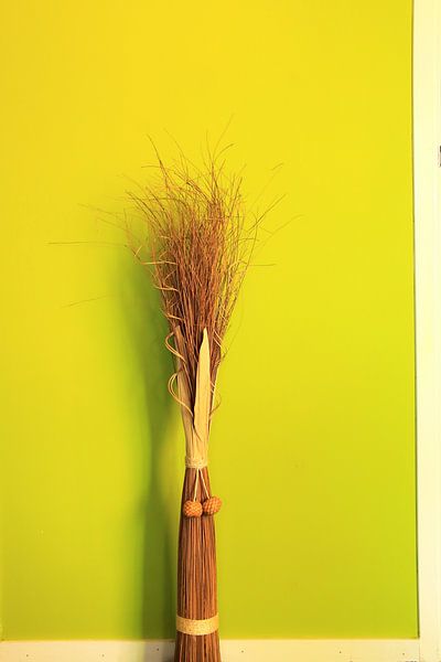 Décoration intérieure sur fond vert clair par Bobsphotography