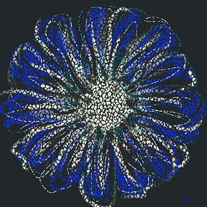 Fleur bleue