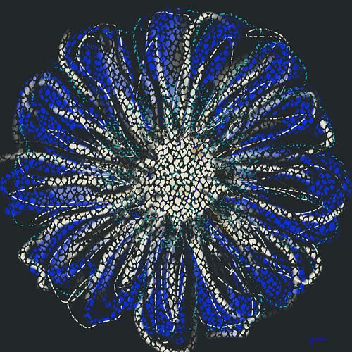 Blue flower