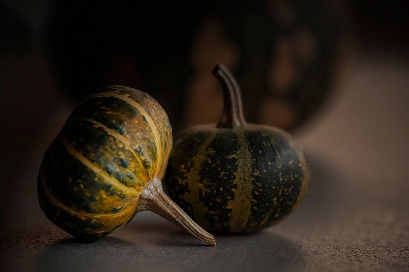 Still life of ornamental gourds. by Ellen Driesse