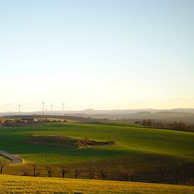 panoramisch landschap van Steffi Hommel