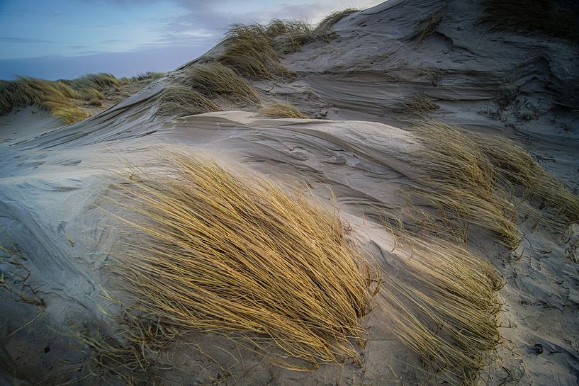 What nature creates by Dirk van Egmond
