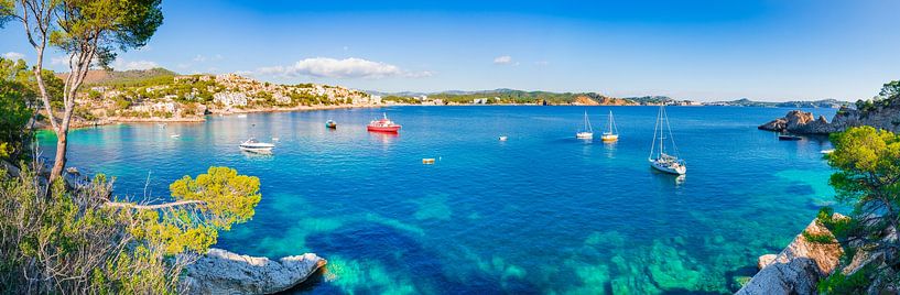Panorama view of Cala Fornells, Mallorca, Spain by Alex Winter