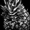 Ananas van MirjamCornelissen - Fotografie