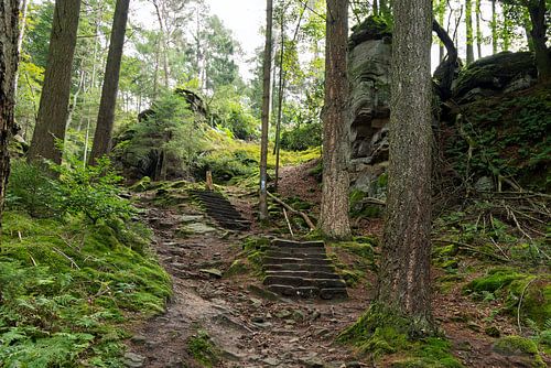 Mullerthal, 'Little Switzerland' Luxembourg