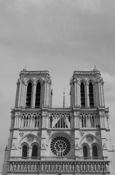 De torens van de Notre Dame in Parijs van Sean Vos