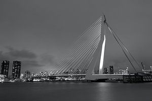 Skyline van Rotterdam met de Erasmusbrug