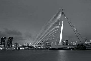 Skyline van Rotterdam met de Erasmusbrug van W J Kok