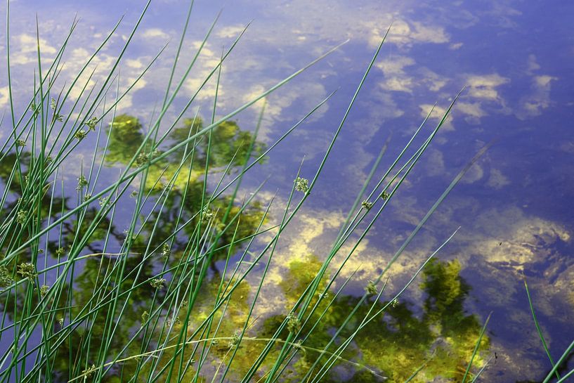 Abstracte reflectie in ondiep water van Retrotimes