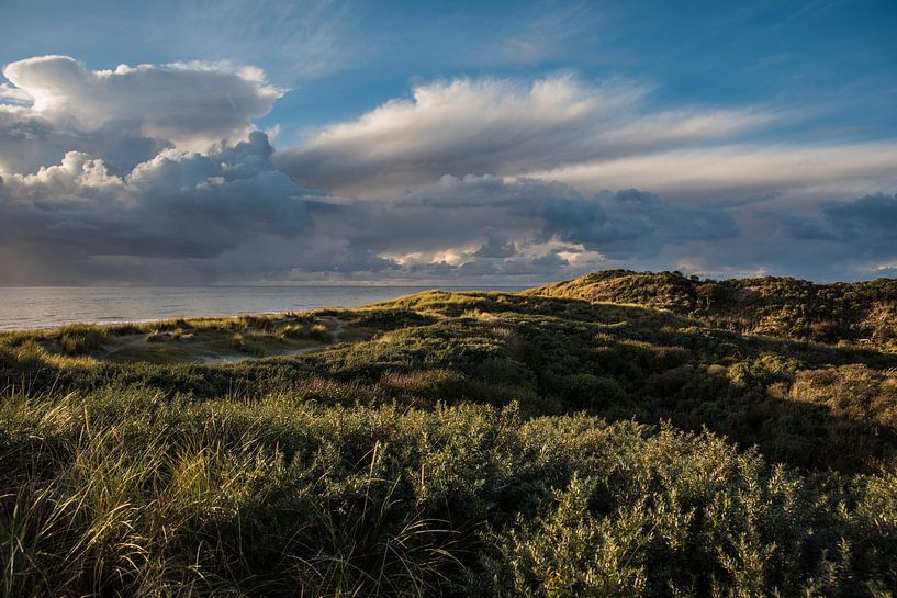 Dunes of Zeeland - Westerschouwen by Mascha Boot