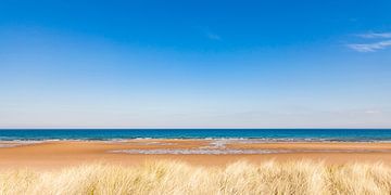 Strand bei Brora in Schottland von Werner Dieterich