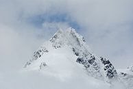 Top van de Grossglockner van Miranda Zwijgers thumbnail