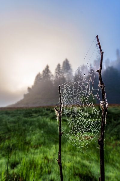 Drops in the Net par Christian Deike