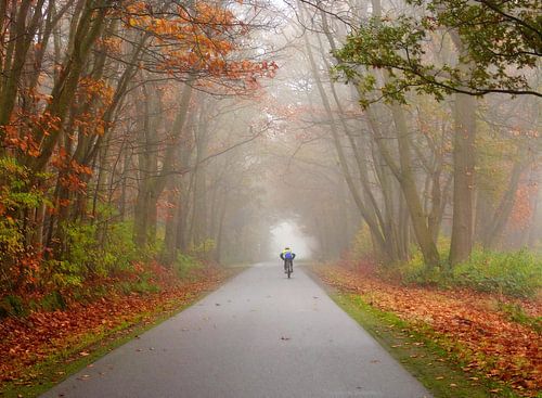 Oerend-Hard... (Cycling on a country road)