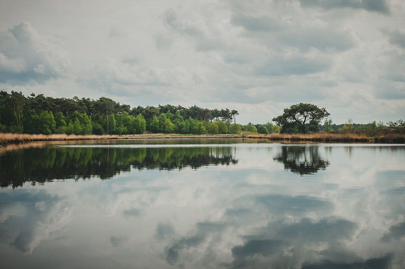 Hatertse and Overasselt Fens by Nancy van Verseveld