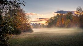 Nebelspiele im Herbst von Steffen Henze
