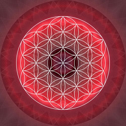 Chakra racine avec Fleur de vie