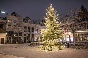 Weihnachten am Nieuwe Markt in Zwolle mit Schnee, Lichtern und einem Weihnachtsbaum