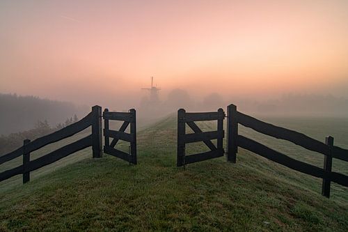 Mill the Butterfly during a misty sunrise