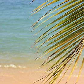 Plage tropicale sur Lisette van Oosterhout