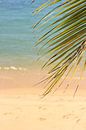 Tropisch strand van Lisette van Oosterhout thumbnail