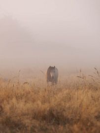 Verloren in der Stille 2 von Leon Exterkate