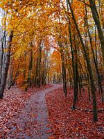 Herbst 8