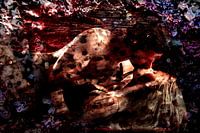 Macht Liebe anstatt Desaster