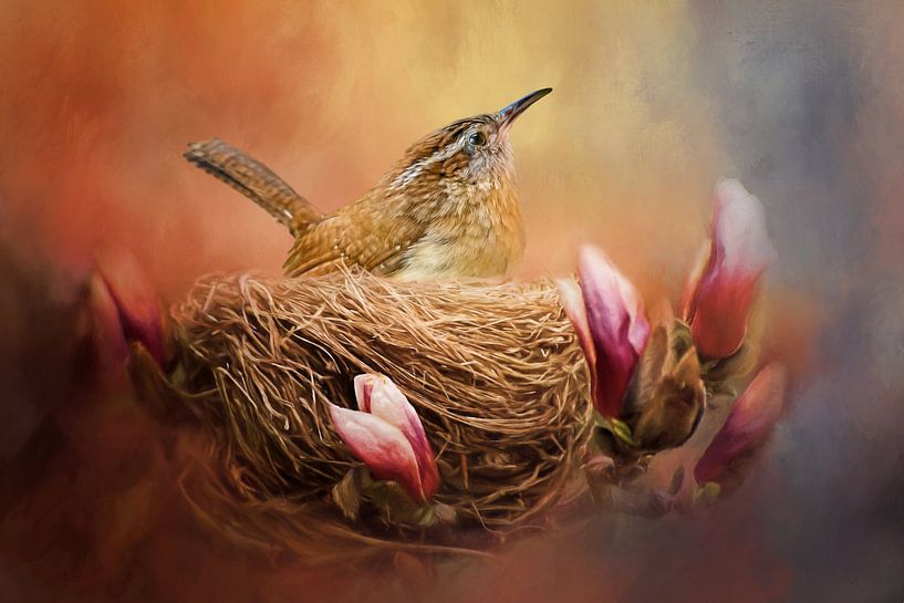 Bird In Bird Nest by Diana van Tankeren