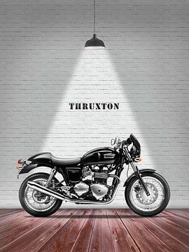 Triumph Thruxton 900 van Slukusluku batok