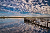 Federsee, ochtend bezinning