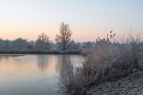 Meinerswijk partie 93