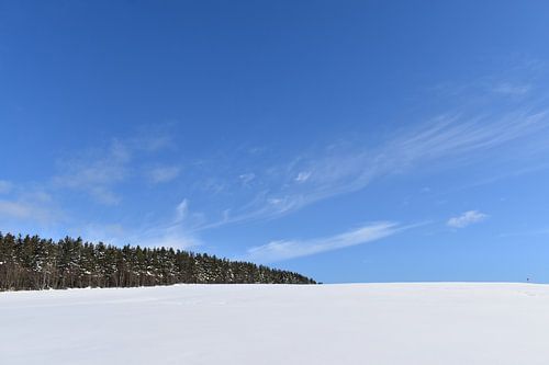 Een besneeuwd veld onder een blauwe hemel